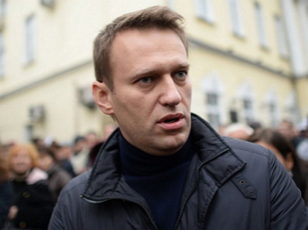 PornHub опубликовал на сайте расследование Навального «Он вам не Димон»