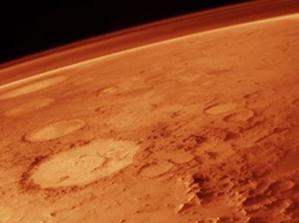 Уфологи нашли на Марсе "голову животного" (ФОТО)