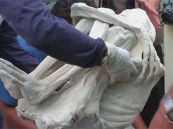 YouTube "взорвало" ВИДЕО с найденной в Перу мумии инопланетянина