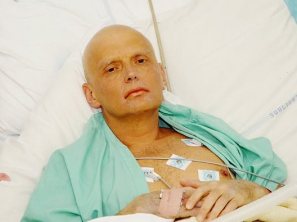 СМИ сообщили об убийстве эксперта по делу Литвиненко