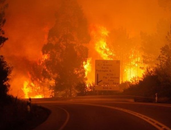 Пожары в Португалии унесли жизни 62 человек (ВИДЕО)