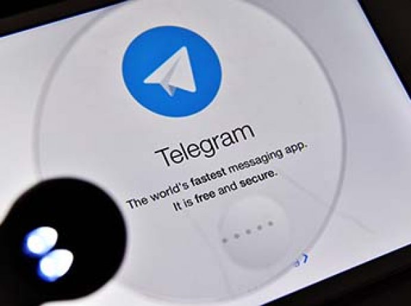 ФСБ: теракт в питерском метро готовили при помощи Telegram