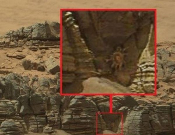 Уфологи обнаружили на Марсе "морского краба-гиганта"