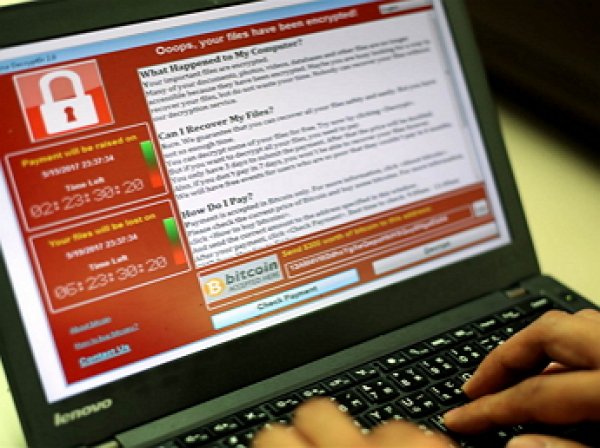В США арестовали программиста, остановившего вирус WannaCry. В Минюсте объяснили за что