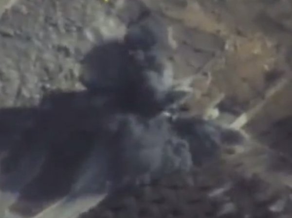 В Сирии убиты пять полевых командиров ан-Нусры, руководившие нападением на российских военных