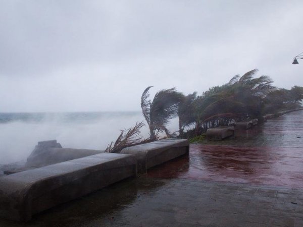 Тропический шторм "Мария" стал ураганом и готов обрушиться на разрушенные "Ирмой" Карибы (ВИДЕО)