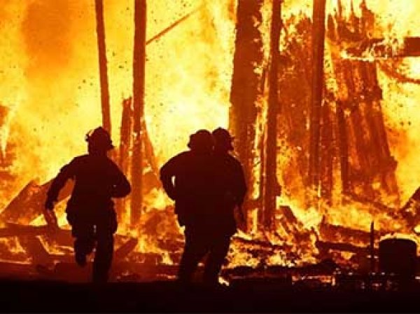 На стимпанк-фестивале Burning Man в США заживо сгорел мужчина