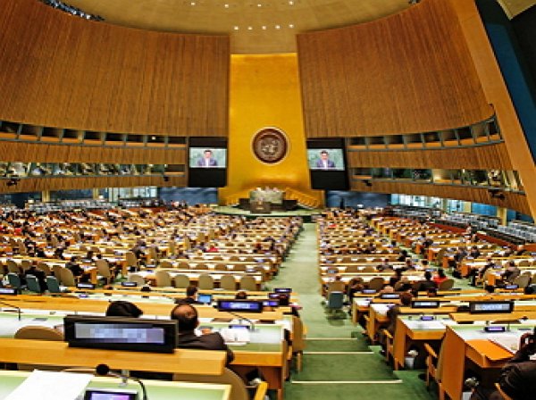 Генассамблея ООН признала Россию «оккупирующей державой»