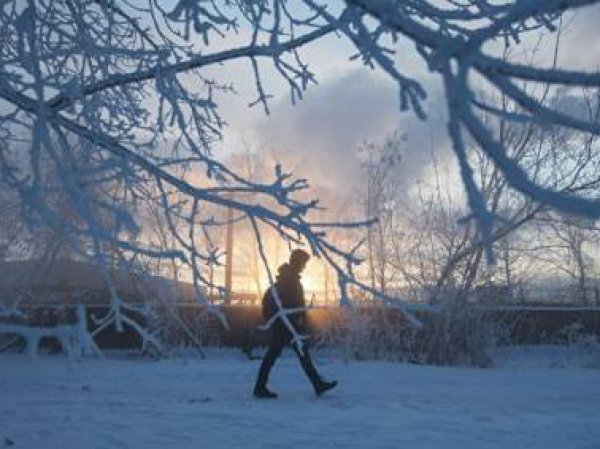 Синоптики пообещали москвичам резкое похолодание