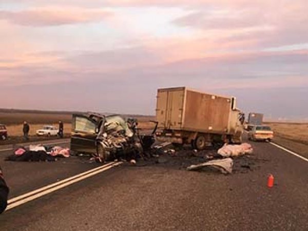 Авария в Ставропольском крае 6 марта: водитель грузовика устроил ДТП с шестью погибшими (ФОТО, ВИДЕО)
