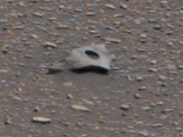 Уфологи нашли на Марсе обломок "корабля пришельцев" (ФОТО)