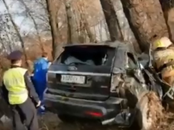 Видео с места гибели мэра Абакана Николая Булакина появилось в Сети