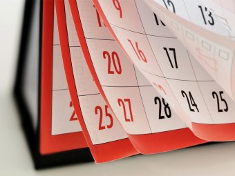 Как отдыхаем в ноябре 2019: официальные выходные, календарь