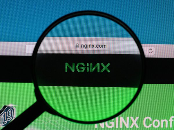Яндекс вступился за проект Nginx