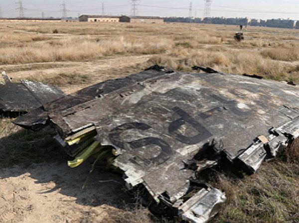Пентагон: украинский Boeing был сбит иранской ракетой из русского ЗРК "Тор"