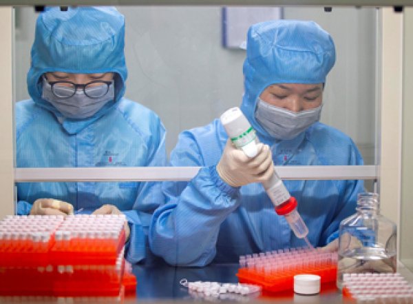 Новая вакцина от коронавируса может навредить пациентам