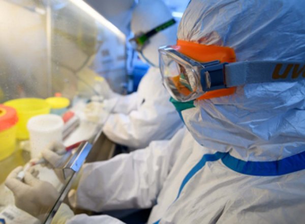 "Переболеют все": ученые нашли слабое место коронавируса