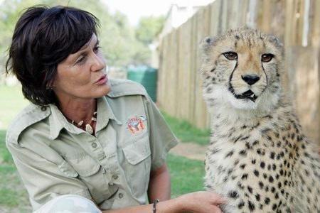 Жительница ЮАР живёт с 11 дикими кошками