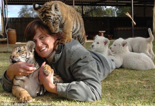 Жительница ЮАР живёт с 11 дикими кошками