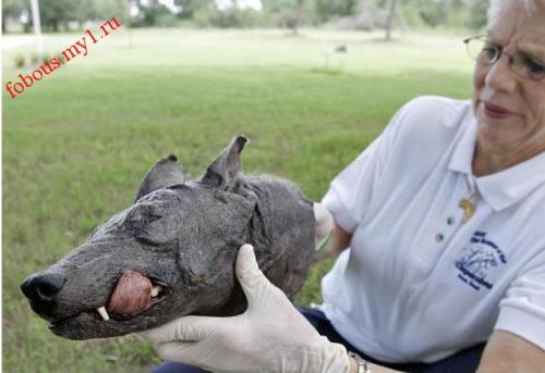 http://www.topnews.ru/upload/photo/408ef834/12463.jpg
