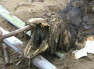 http://www.topnews.ru/upload/photo/408ef834/65511.jpg
