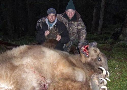 Охотники  завалили исполинского медведя