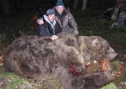 Охотники  завалили исполинского медведя