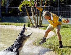 Фотографии гибели "охотника за крокодилами" попали в Интернет