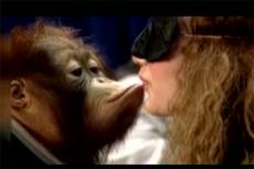 Участниц телешоу заставили целоваться с обезьянами