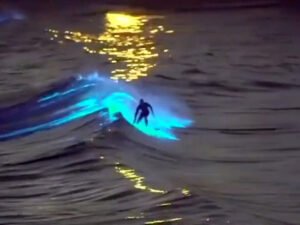 Катание серфера на волнах аномального цвета  попало на видео