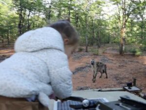 Последствия пожаров в Чернобыльской зоне сняли на видео