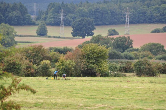 25 самых невероятных открытий, сделанных обычными людьми