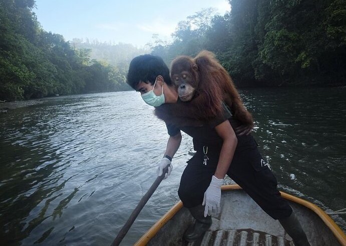 Лучшие работы конкурса AllAbout Photo Award 2020