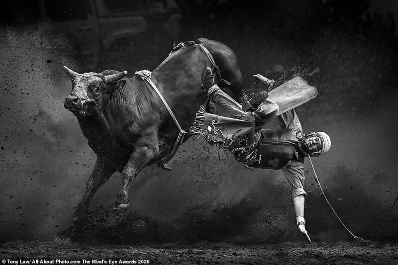 Лучшие работы конкурса AllAbout Photo Award 2020