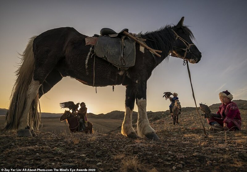 Лучшие работы конкурса AllAbout Photo Award 2020