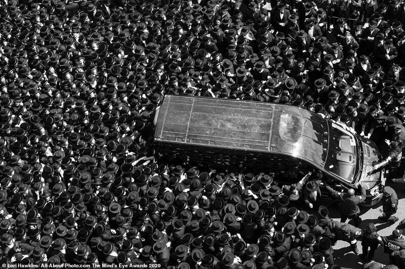 Лучшие работы конкурса AllAbout Photo Award 2020