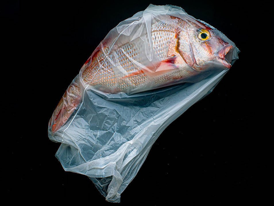 Призеры конкурса Sony World Photography Awards 2020