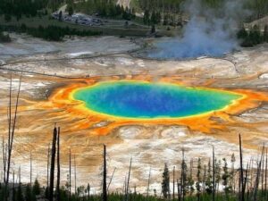 Звезды, которые пережили инсульт 