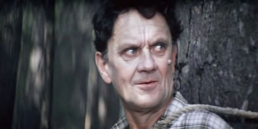 «Бриллиантовая рука»: как снимали легендарный фильм и как сложилась дальнейшая судьба любимых актеров