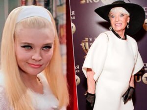 Лучшие работы конкурса AllAbout Photo Award 2020