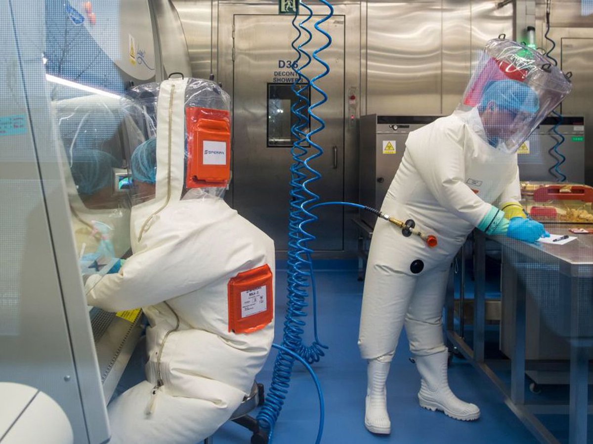 “Делали безумные вещи”: СМИ рассказали о жутких экспериментах китайцев с коронавирусом