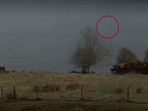 Анна Нетребко устроила скандал в Сети и оскорбила коллег