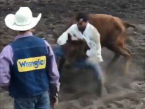 Номер с Харламовым и 