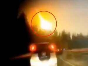 Ученые назвали главные 