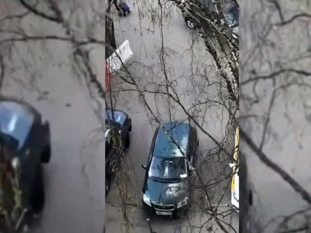 Москвич на самоизоляции ударил полицейского, попав на видео