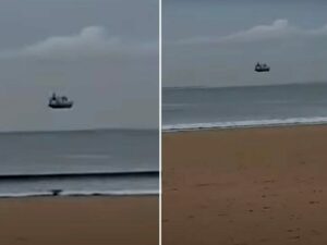 Сурок украл кусок пиццы и похвастался добычей перед собаками