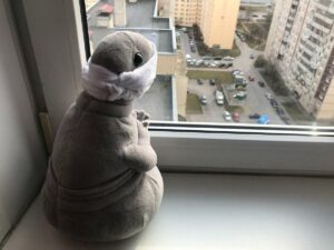 Обезьяна взломала банкомат