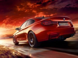 Пингвинята, устроившие первый в жизни заплыв, стали интернет-звездами