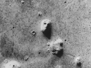 15 необычных королев красоты 