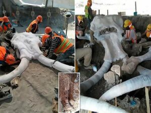 10 огромных гардеробных знаменитостей